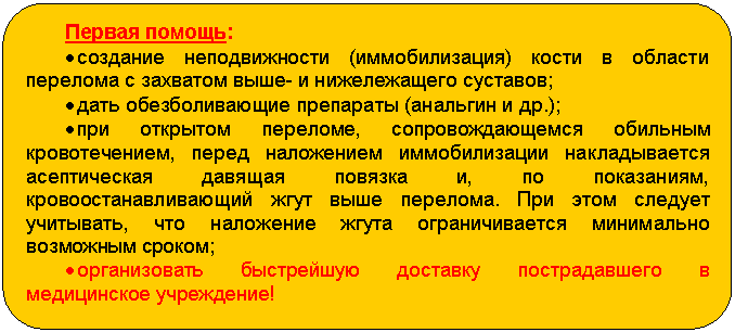 ����-�����: