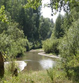 C:\Mail\Временная\Администрация\P8150015.JPG