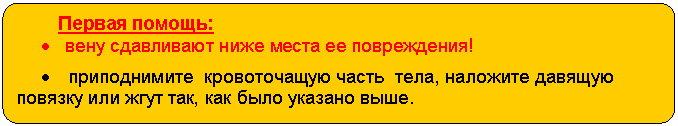 ����-�����: