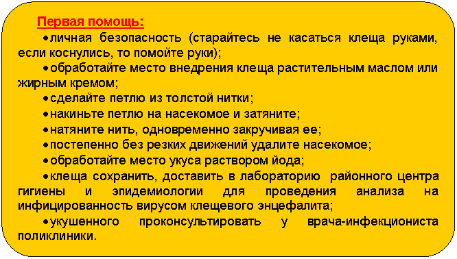 ����-�����:
