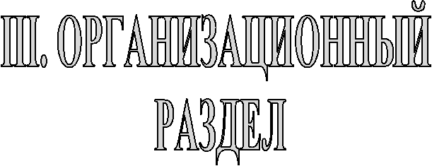 III. ОРГАНИЗАЦИОННЫЙ
РАЗДЕЛ