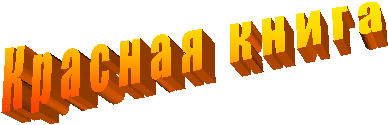 � � � � � � � � � � � �