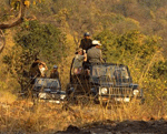 C:\Users\abc\Downloads\Bandhavgarh.gif
