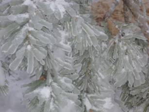 D:\����\���� 2010\P1000335.JPG