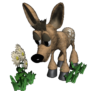fawn_smelling2_hc