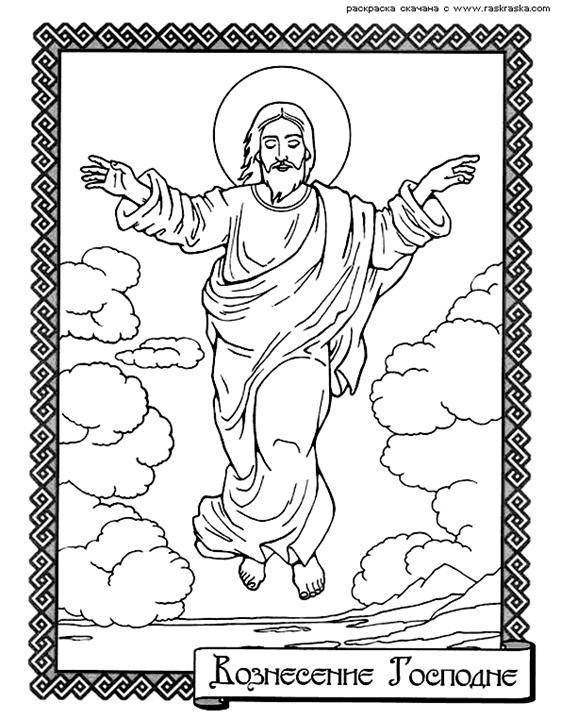 http://www.raskraska.com/catalog0001/4602.gif