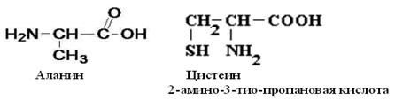 img2.gif (10806 bytes)