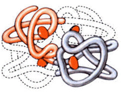 http://*****/articles/522155/img8.gif