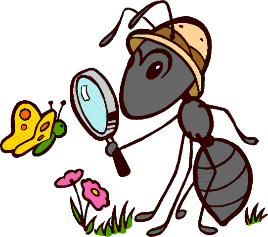 http://ekologija.blogas.lt/files/2010/03/ant.gif