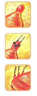 http://*****/boomerang/Drevesnue/images/game/podelki/les%20podelki/les-podelki-(9).jpg