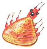 http://*****/boomerang/Drevesnue/images/game/podelki/les%20podelki/les-podelki-(10).jpg