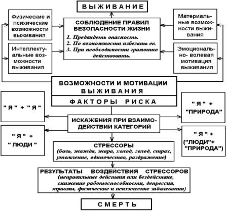 Картинка 247 из 809