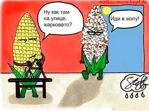 � ����� ���� ��� �����