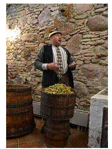 �������: