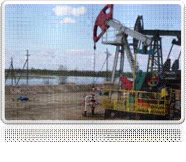 C:\Documents and Settings\�����\������� ����\�����\oil_43_2.jpg