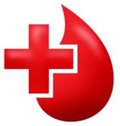 http://t3.gstatic.com/images?q=tbn:ANd9GcSN0Zxb_DBDK5J0xyTimrJ-GB2nLmlj9IA6e_h-Mju9_dwFiK00