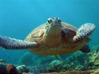 big__eilat4.jpg