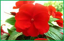 click?url=http%3A%2F%2Fmicro-mir