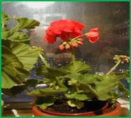 click?url=http%3A%2F%2Frukh