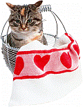 http://*****/content/gallery/thumb_5b5b21cdf1858adefd44509e.png