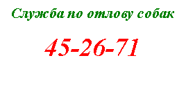 �������: