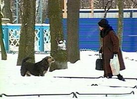 squirrel_0002