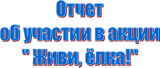 Отчет
об участии в акции
" Живи, ёлка!"