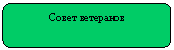 Скругленный прямоугольник: Совет ветеранов