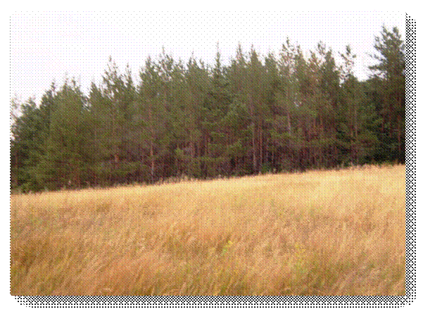 P8140278