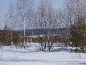 http://*****/content/innov_sc/info_t/images/titova17.jpg