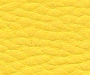 C:\Users\E\Desktop\���������\������\��� ����\DPCV\DPCV-20.png
