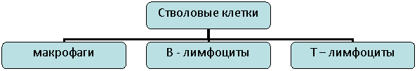 ��������������� ���������