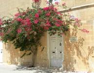C:\Users\Alya\Desktop\house_in_mdina_malta.jpg