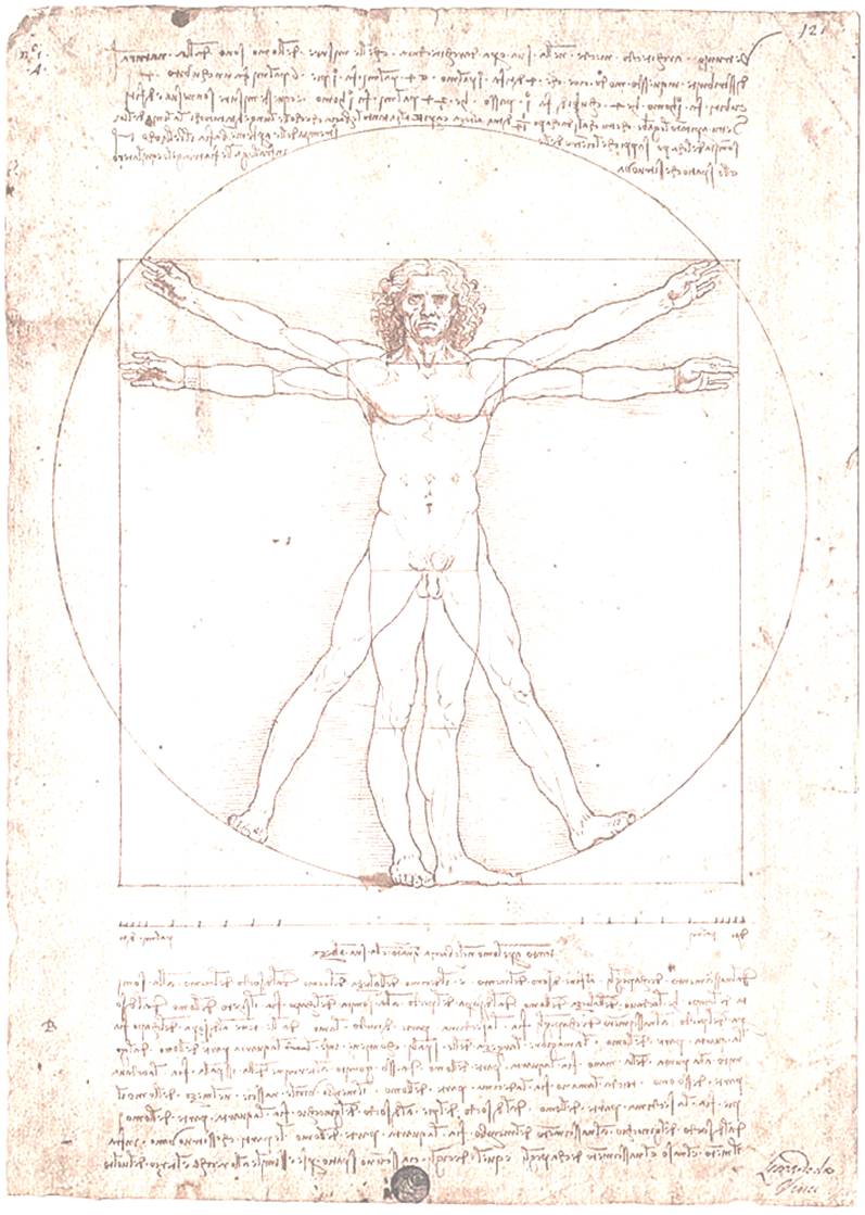 vitruvian-man.jpg