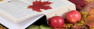 autumn"