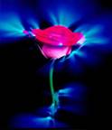 �����������:Kirlian01.jpg