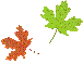 WB01237_,WB01242_
