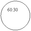 ����: 60:30