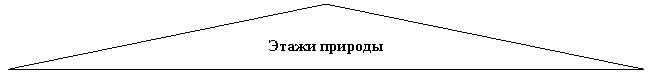 �������������� �����������: ����� �������