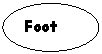 ����: Foot
