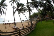 Coconut Bay | 