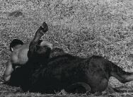 http://*****/i/media/oyama/Biography/11.jpg