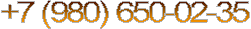 +7 (9