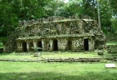 Edificio 19, Yaxchilan