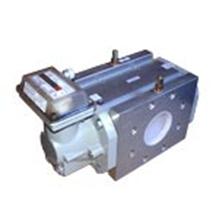 RVG G100