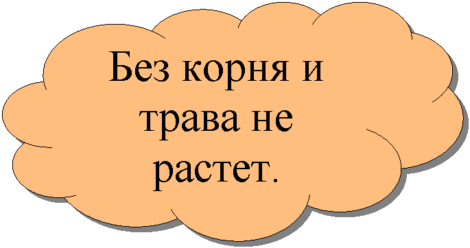 ���������������: