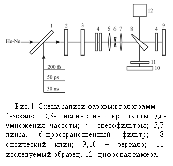 �������: