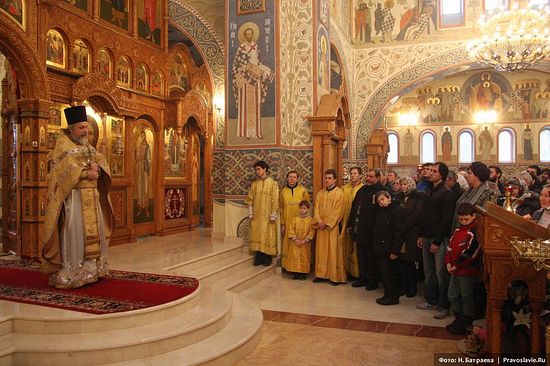 ����: �.�������� / �����������.Ru