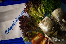 байкальский ужин