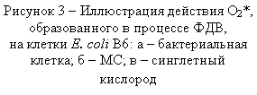 �������: